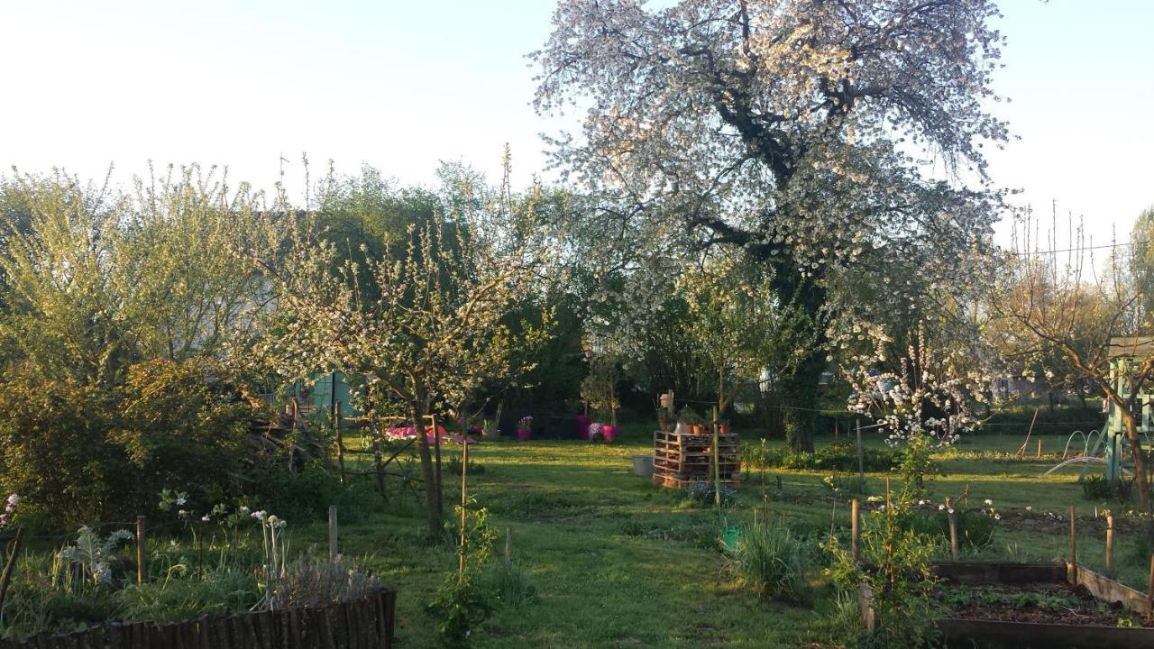 Chambre D'Hotes A La Campagne Nevers Challuy Exteriér fotografie
